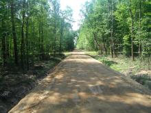 Regulaminy korzystania z dróg leśnych