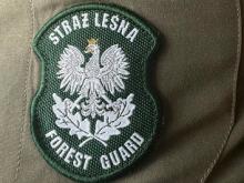 „MAJÓWKA 25” – STRAŻ LEŚNA ZADBA O BEZPIECZEŃSTWO
